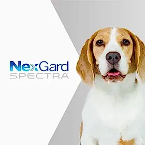 NexGard Spectra