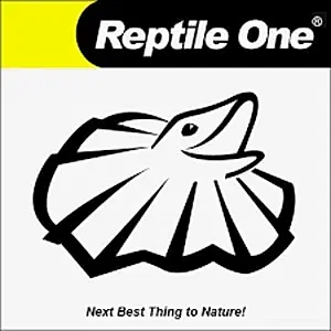 Reptile One